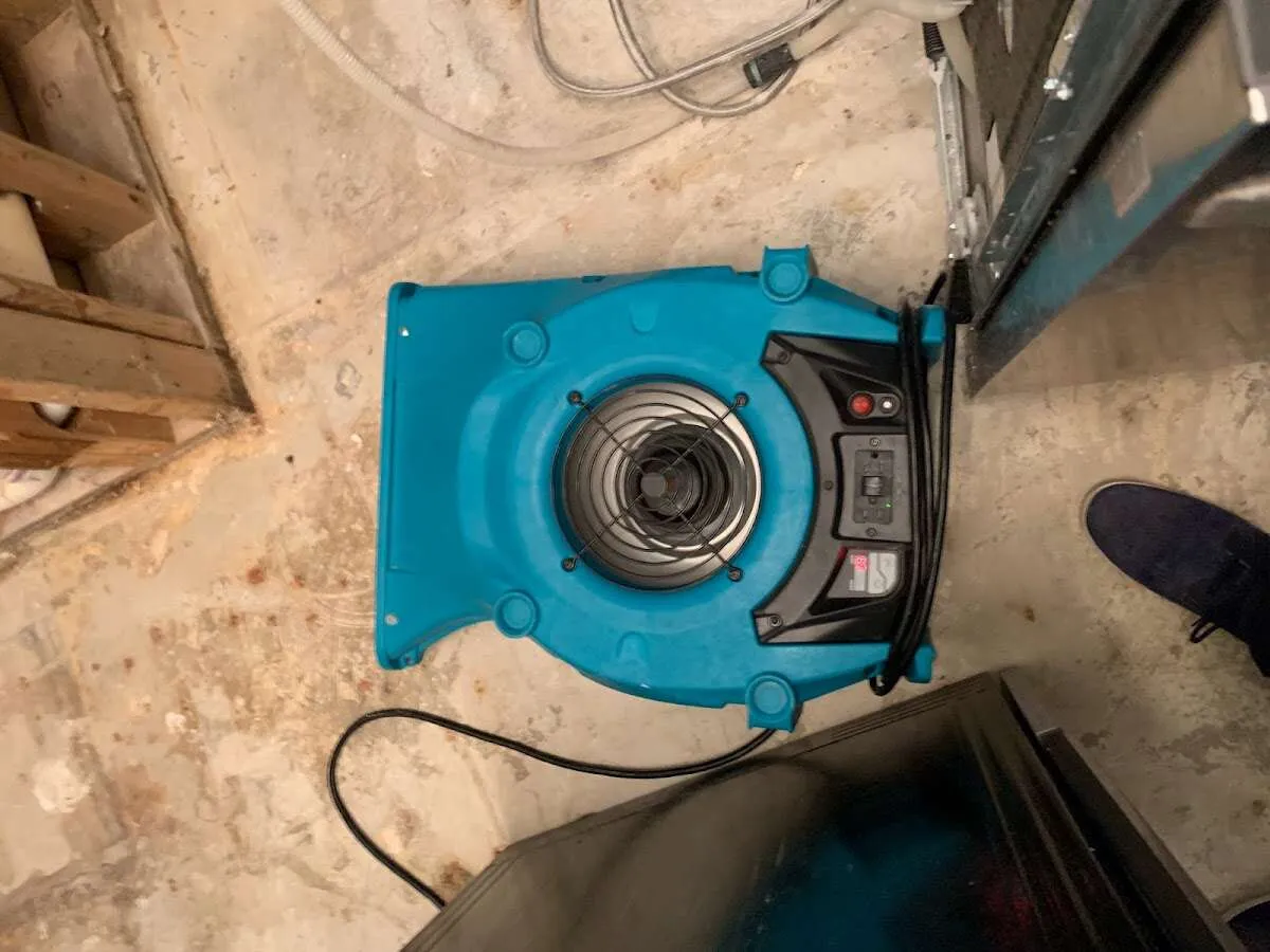 Air mover drying equipment for Mold Remediation & Removal in Sherman